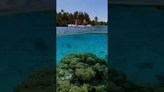 Have you ever seen water so clear?  #ocean #snorkeling #frenchpolynesia #sailing #paradise #travel