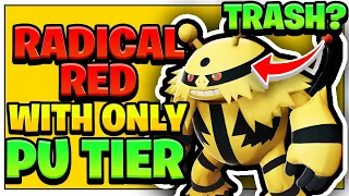 Can I Beat Pokemon Radical Red Using BELOW PU TIER POKEMON WORST POKEMON TIER