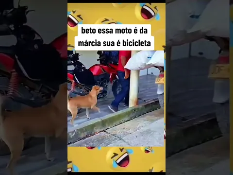 ALEGRIA E DIVERSÃO #humor #foryou #shortsviral #shorts #pets