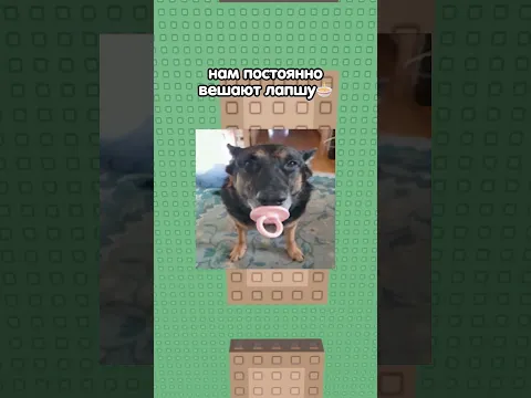 Почему именно так?😰💀 #roblox #роблокс #robloxstory