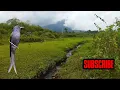 Download Lagu suara pikat burung srigunting abu abu kejepit dan mengamuk ribut paling ampuh pikat burung liar jt9