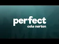 Download Lagu Cole Norton - Perfect (Lyrics)