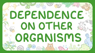 KS3 Biology - Dependence on other organisms