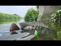 Download Lagu Tak bisa berkata kata jumpa spot Mancing exsotis begini ikan Nila nya haup Babon semua