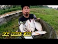 Menjala Ikan Di Sungai Labu  #gengdunia
