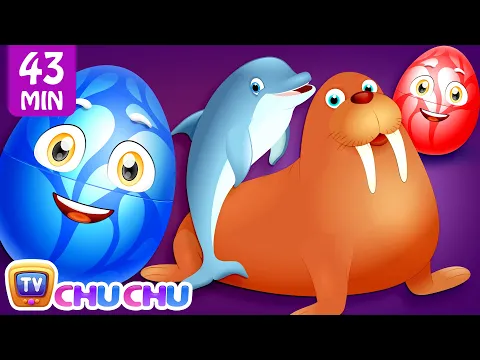 Download MP3 Learn Wild Sea Animals + More ChuChu TV Surprise Eggs Learning Videos SUPER COLLECTION 2
