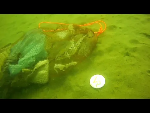 YouTube player