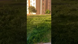 سكن الطلاب بجامعة نجران بالمملكة العربية السعودية جامعة نجران نجران ذاكر البسام 