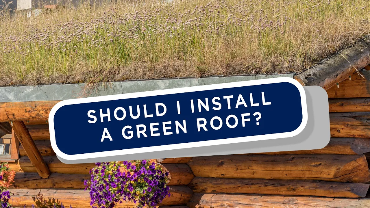 Charlie Luxton | We need to talk about Green Roofs | Homebuilding