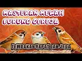 Download Lagu MASTERAN Mewah Gereja Tarung Full Tembakan Rapat dan Ada Jedanya‼️