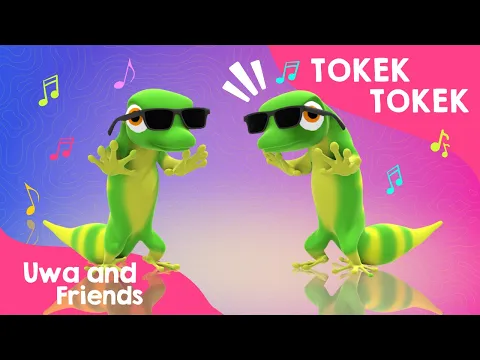 Download MP3 Tokek Tokek - Lagu Binatang Lucu - Lagu Anak Indonesia