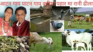  prem shah maravi sangram