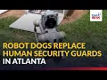 Robot dogs replacing human security guards in Atlanta GMA News