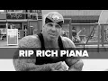 Bodybuilder Rich Piana Passes Away Tiger Fitness