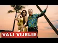 Download Lagu Vali Vijelie - Fa ca ea (Special Guest Alisori) 2025