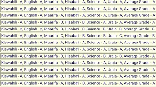 JINSI YA KUTAZAMA MATOKEO YA DARASA LA SABA YA 2025 BOFYA HII LINK KUPATA SHULE YAKO 