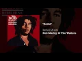 Download Lagu Roots (1986) - Bob Marley \u0026 The Wailers