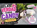 THE TRUTH ABOUT CANDY We thought the worst but this is what happened