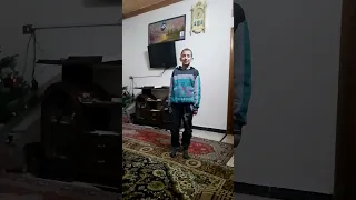 زين طيار وطني 