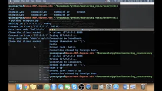 Mastering Concurrency in Python 11 Building Communication Channels with asyncio
