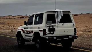 ماجور يازين وش حالك   غريب ال مخلص   شيله مسرع دندنها