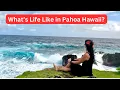 Living in Pahoa Hawaii VLOG Moving Process New Piglets