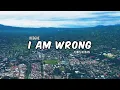 Download Lagu REGGAE  I AM WRONG _ YONIS HOBAN REMIX 🔊