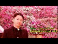 Download Lagu Hkungran Kum Hpa, Lahpai Zau Hpan , Cover Song
