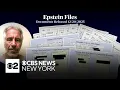 Additional Epstein files documents released
