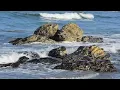 York Beach Maine 2026