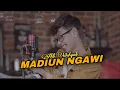ALDI WAHYUDI - MADIUN NGAWI (Official Music Video)