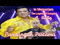 Download Lagu In Memoriam The Legend of Dangdut Golden Song Pandangan Pertama A  Rafiq
