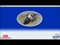 SBK 2001 NOW PLAYABLE ON MODERN PC!!!!
