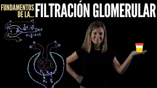 Nefrología III: Filtración glomerular