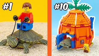 LEGO BUILDS for a TURTLE...