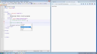 javascript comments in Hindi