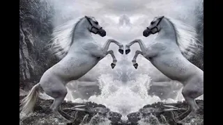 ماريد اموت اليوم تكفني عباتي المنشد أحمد ابوالنور 