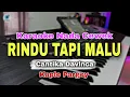 Download Lagu RINDU TAPI MALU - CANTIKA DAVINCA || KARAOKE LIRIK VERSI KOPLO PARGOY || NADA CEWEK