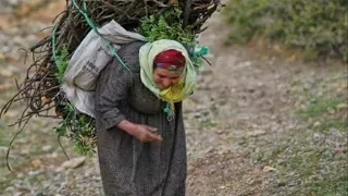 قصة المراه العجوز مع النبي عليه الصلاه والسلام وحمله لها الحطب على ظهره والنهاية الجميله   ابو مصعب دندنها