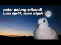 Download Lagu puter pelung srikandi suara ngelik, suara srigala