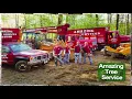 Tree Removal in NJ