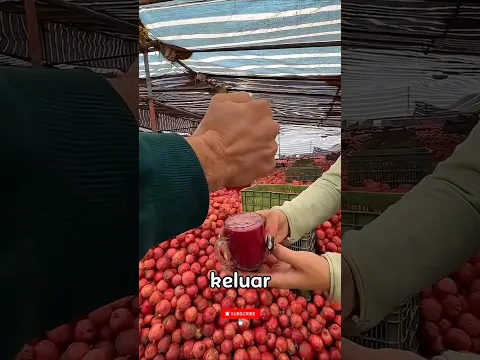 ternyata begini cara memeras air gelima#shorts #shortvideo