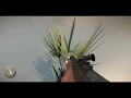 Palmbush small