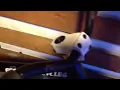 nicks fgfs bike check