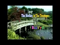 Download Lagu The Birdies In The Treetops ( Karaoke ) - Karyn Susanto