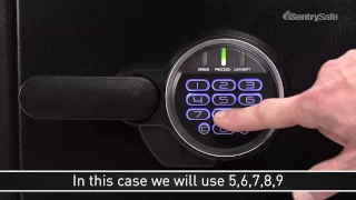 SFW123FTC Extra Large Digital Fire Safe Full Instructional