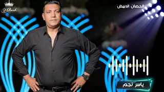 شوي ا روق ان يلا بينا نسمع ونروق    ياسر نجم دندنها