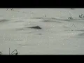 When It's Cold I'd Like To Die