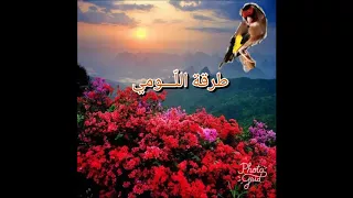 طرقة الل ومي لغة أهل صفاقص الونسية لتسميع فراخ الحسون القرديل 