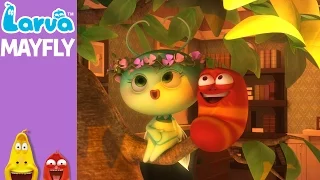  official mayfly mini series from animation larva